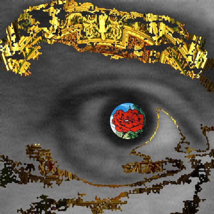 Images El volumen de una sombra