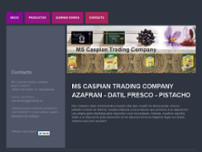 MS Caspian Trading website screenshot