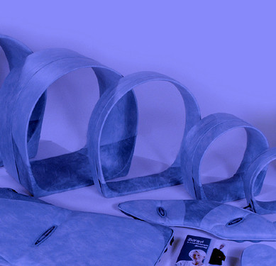 Images Instituto Radisson park