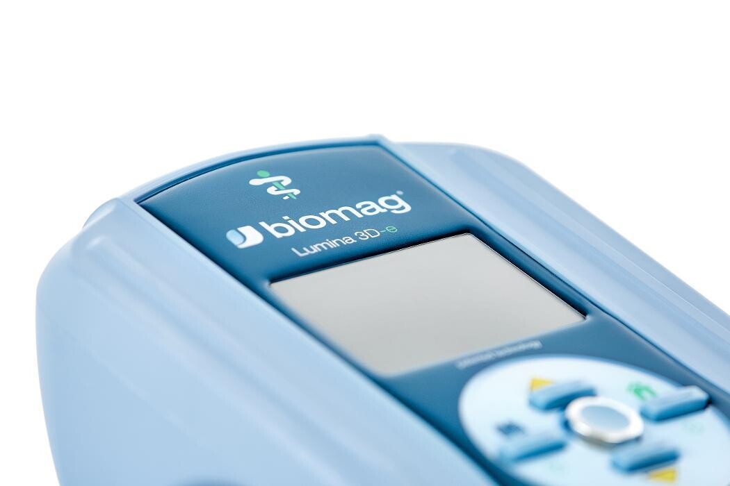 Images Instituto Radisson park