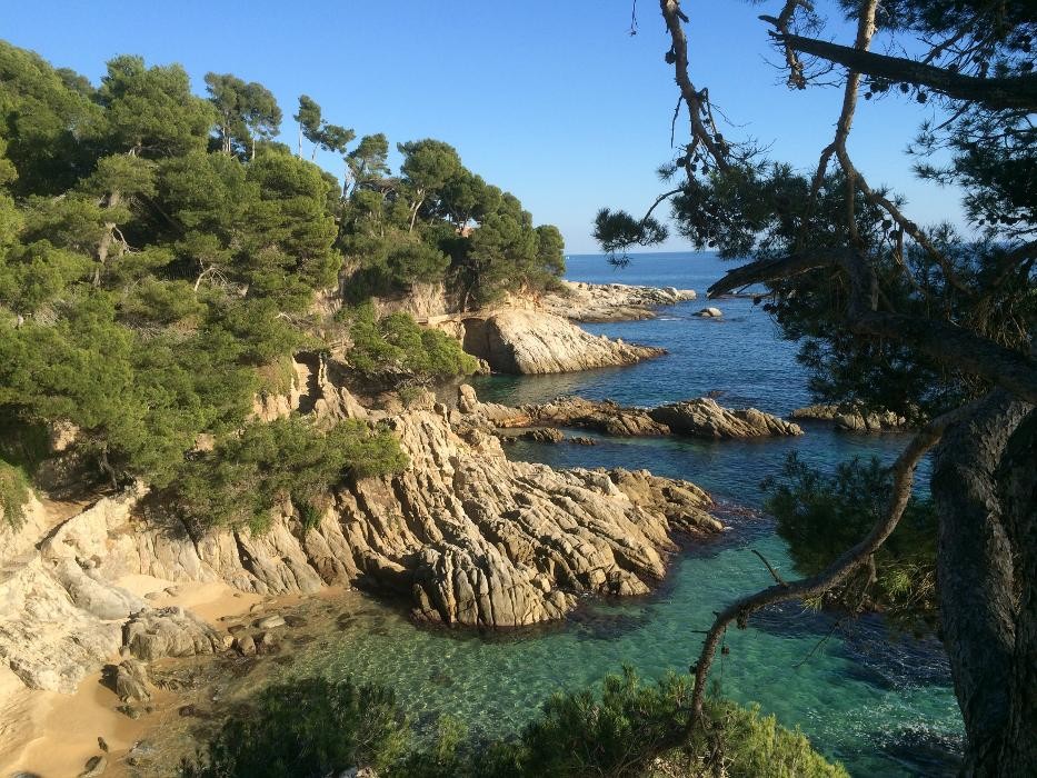 Images LAMPISTA CALONGE- ENERMAT SERVEIS