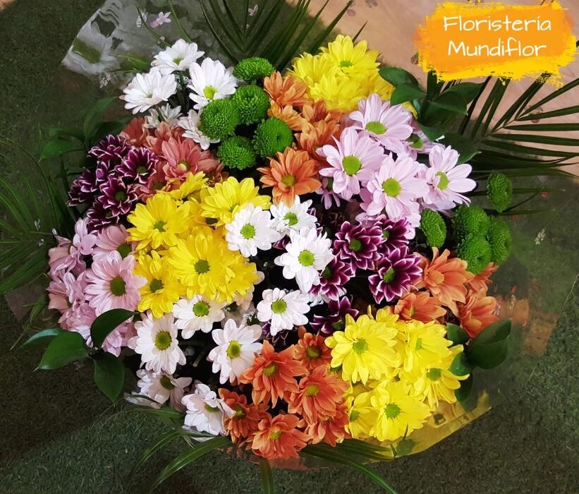 Images Floristeria Mundiflor