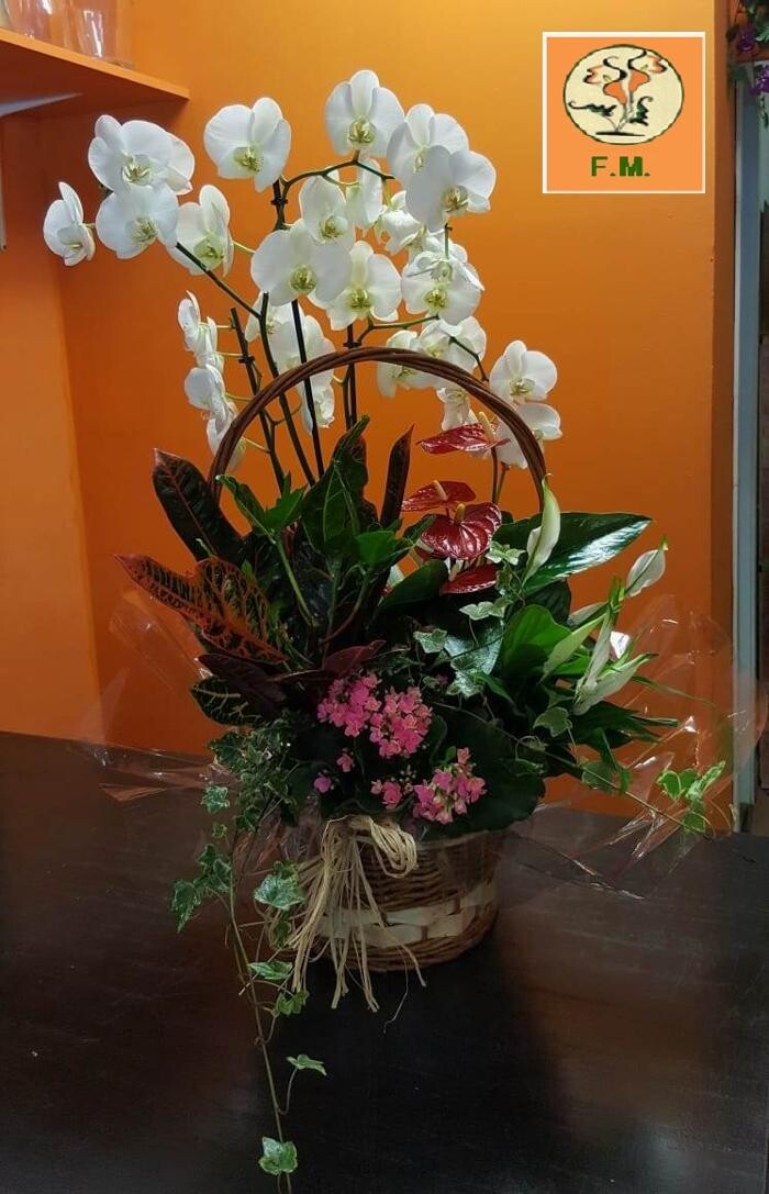 Images Floristeria Mundiflor