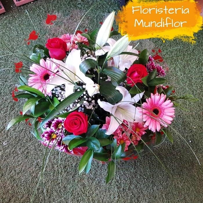 Images Floristeria Mundiflor