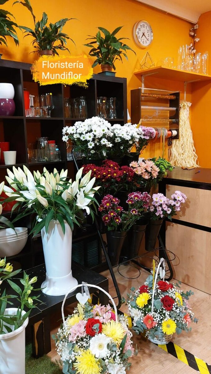 Images Floristeria Mundiflor