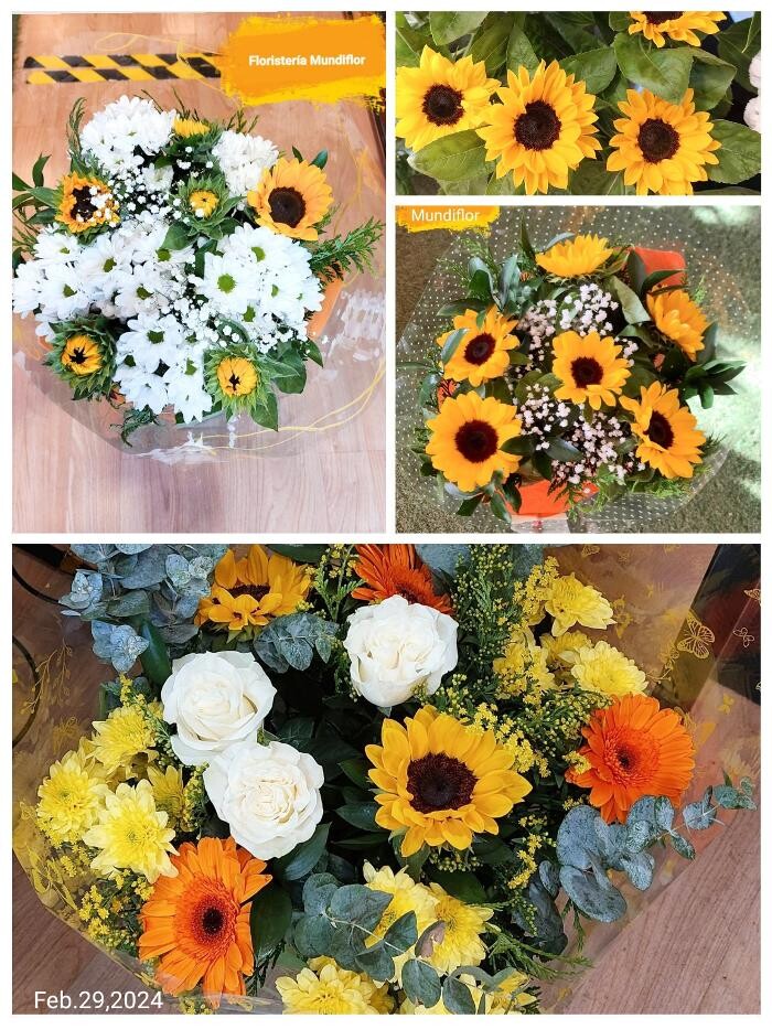 Images Floristeria Mundiflor