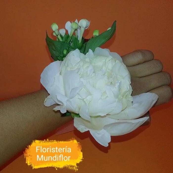Images Floristeria Mundiflor