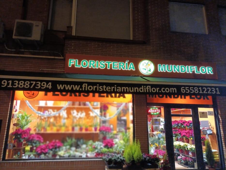 Images Floristeria Mundiflor