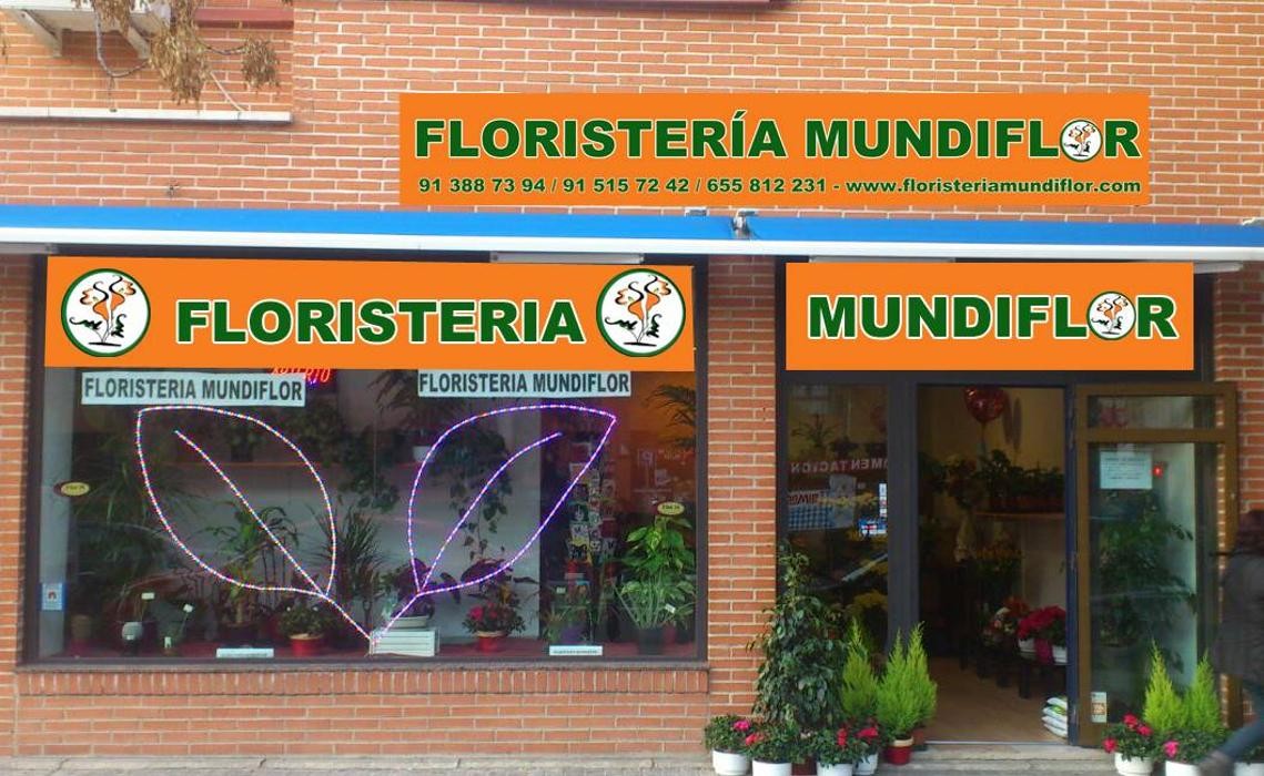 Images Floristeria Mundiflor