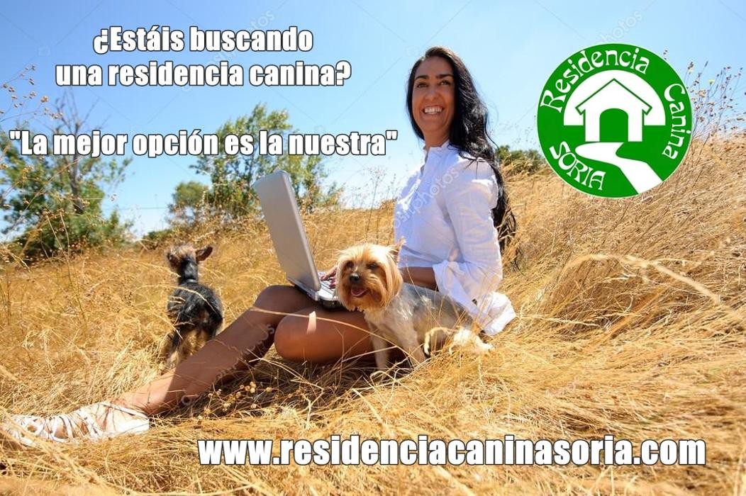 Images RESIDENCIA CANINA SORIA