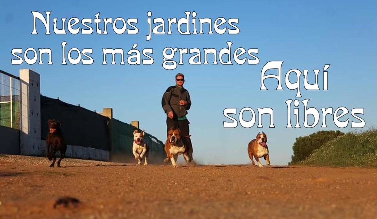 Images RESIDENCIA CANINA SORIA