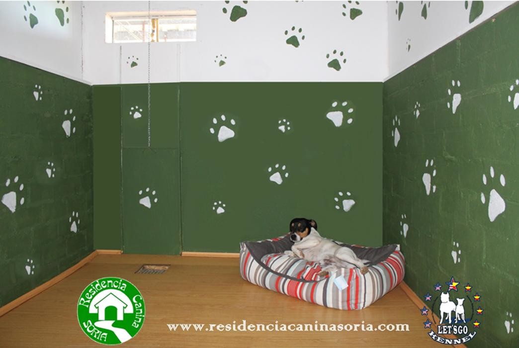 Images RESIDENCIA CANINA SORIA