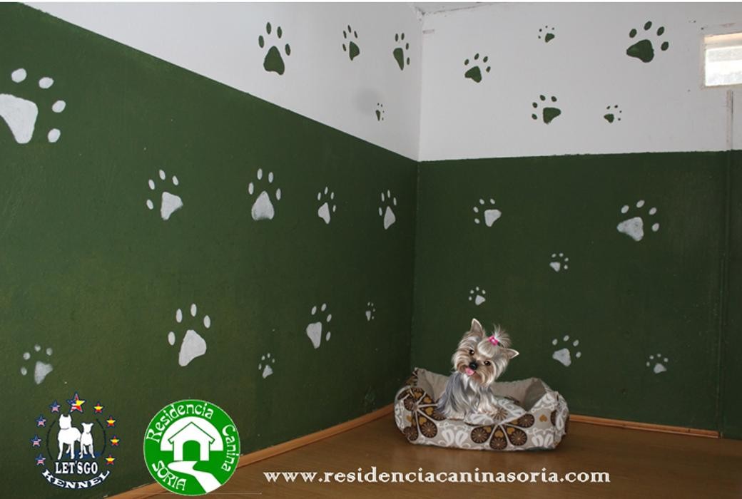 Images RESIDENCIA CANINA SORIA