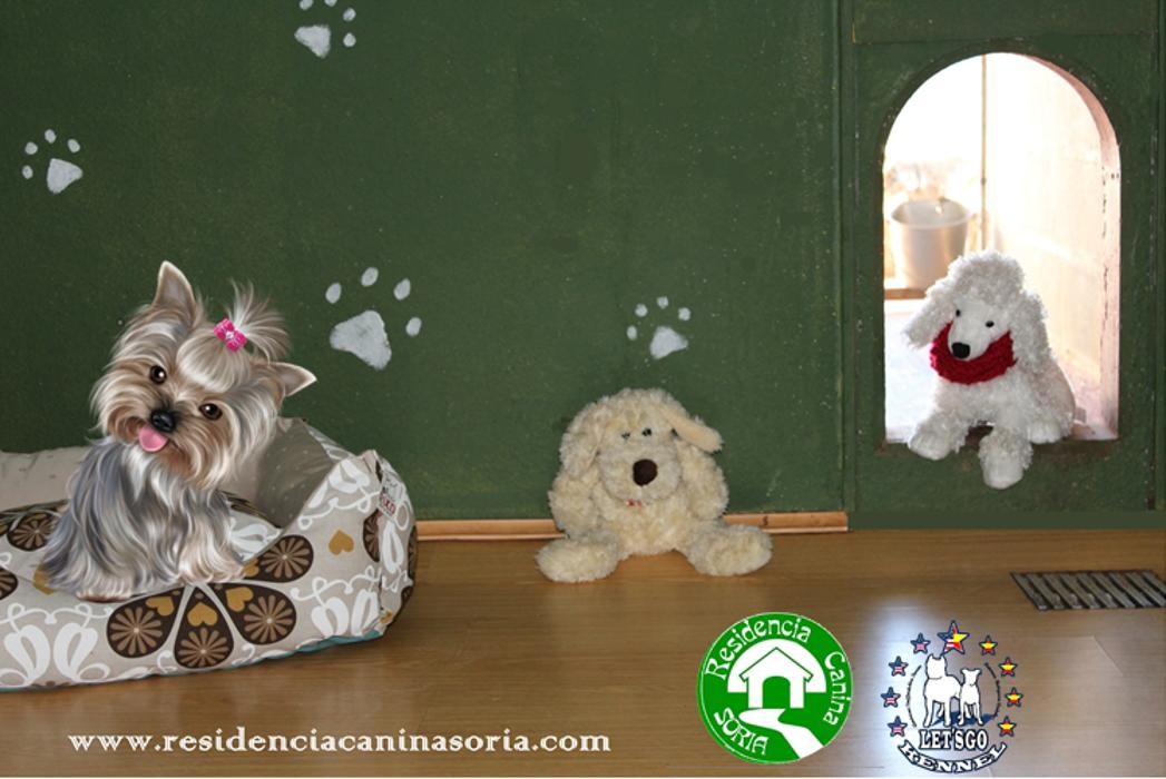 Images RESIDENCIA CANINA SORIA