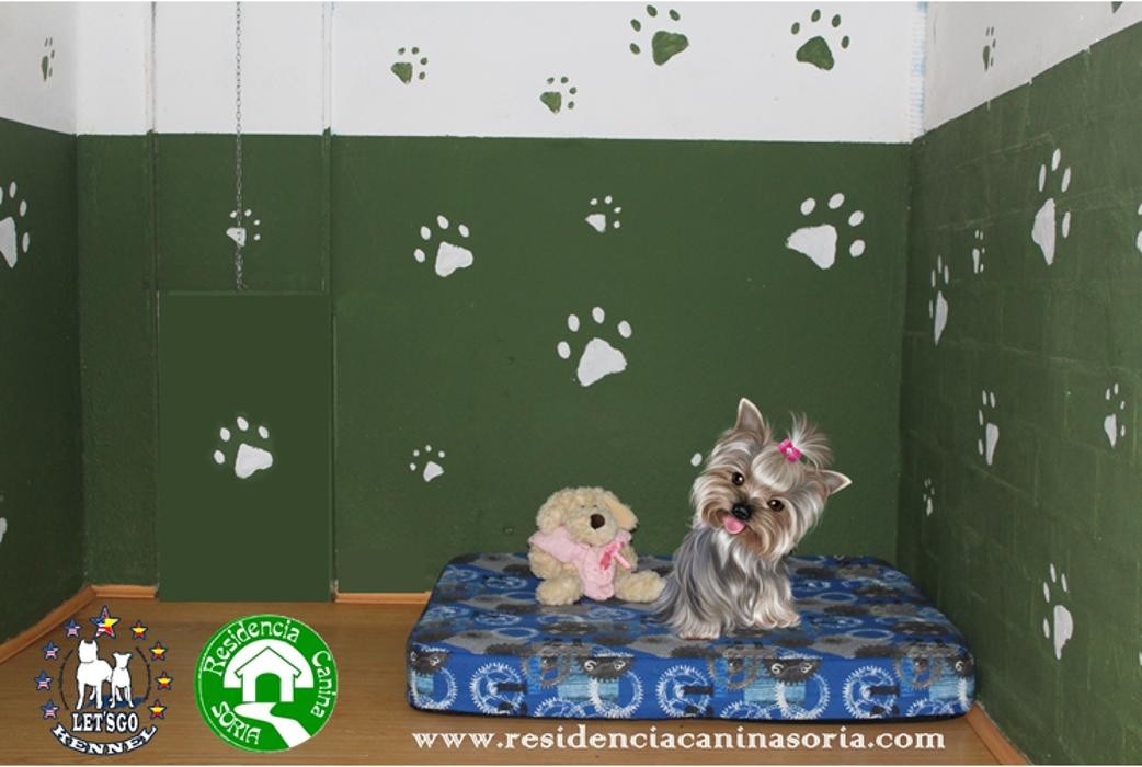 Images RESIDENCIA CANINA SORIA