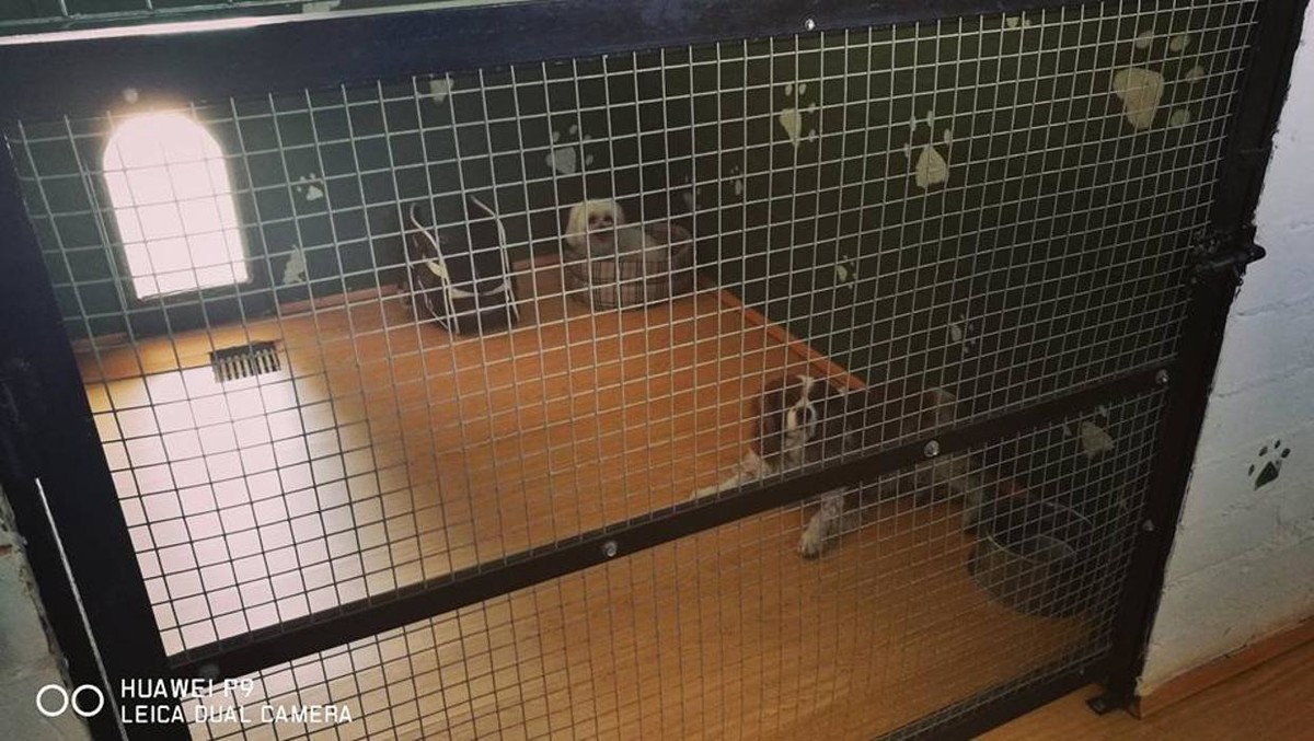 Images RESIDENCIA CANINA SORIA