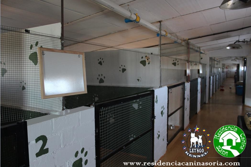 Images RESIDENCIA CANINA SORIA