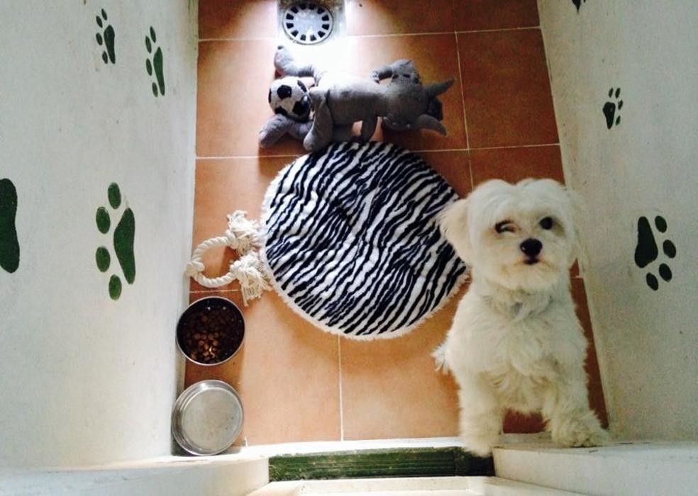 Images RESIDENCIA CANINA SORIA