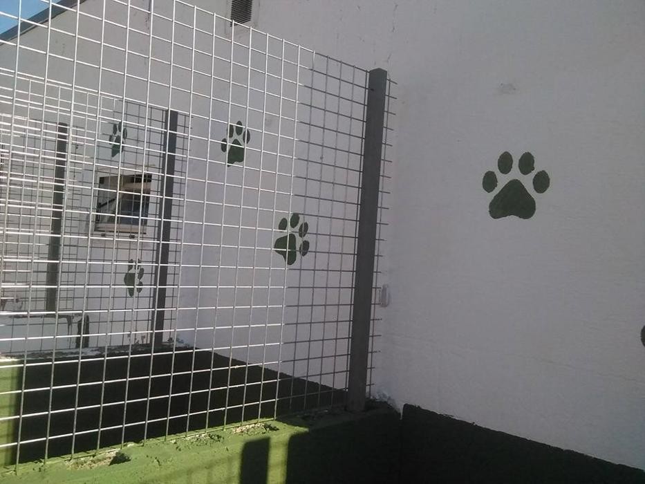 Images RESIDENCIA CANINA SORIA