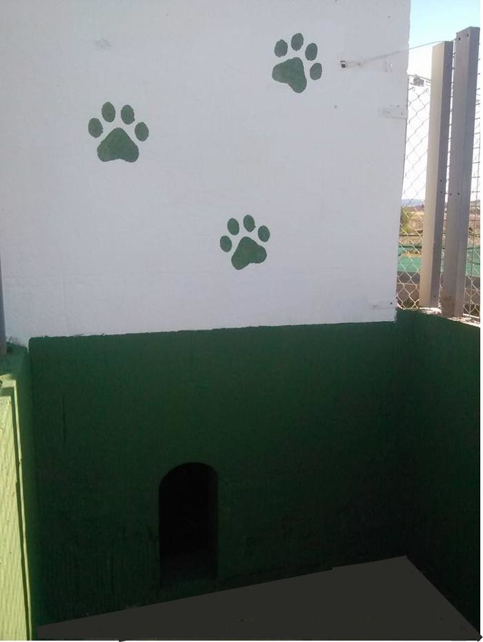 Images RESIDENCIA CANINA SORIA