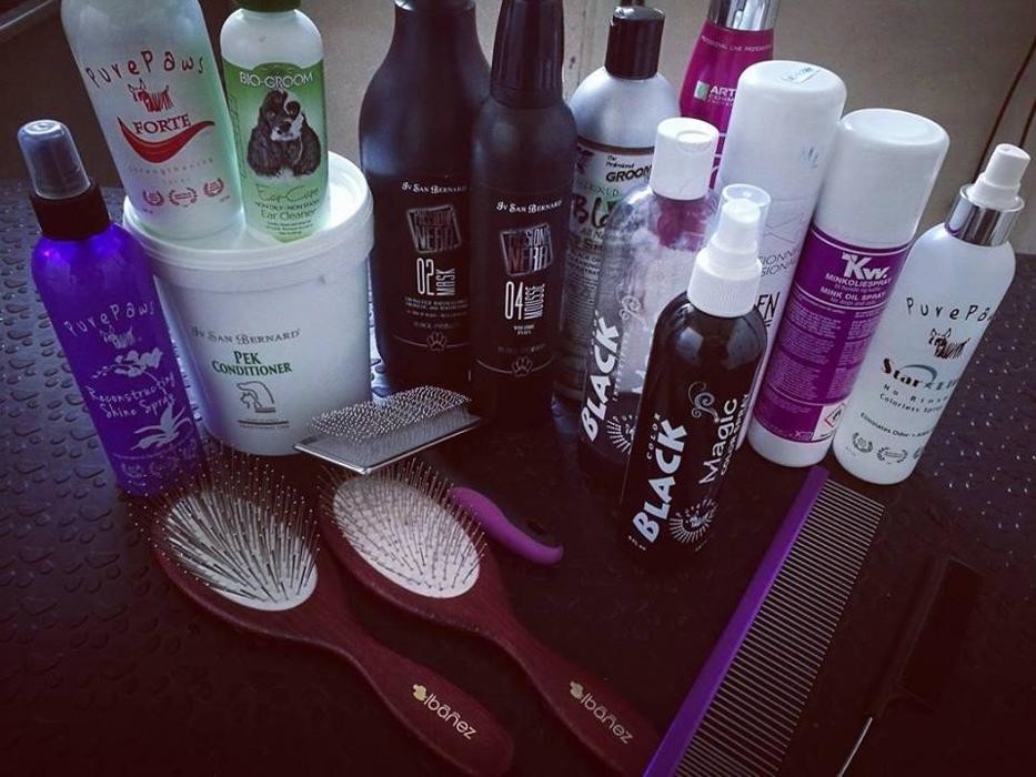 Images RESIDENCIA CANINA SORIA