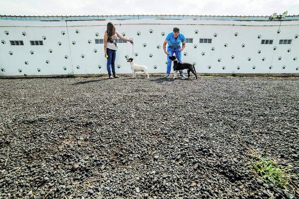 Images RESIDENCIA CANINA SORIA