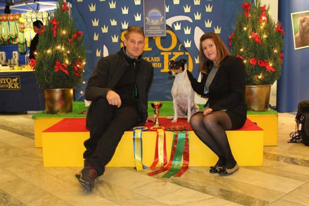 Images RESIDENCIA CANINA SORIA