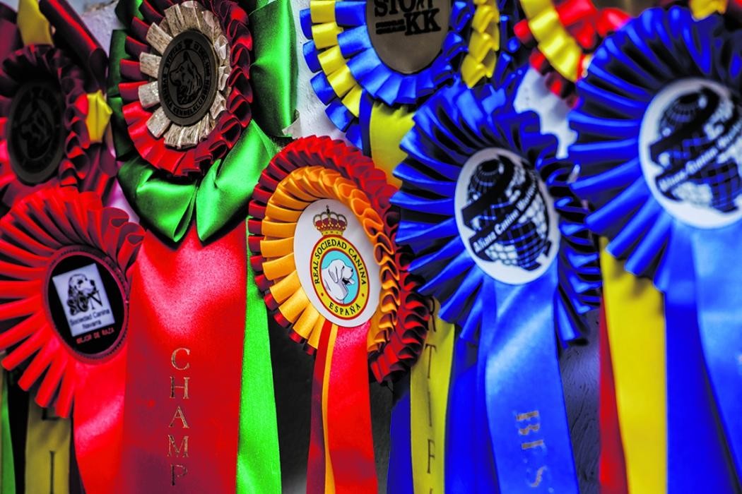 Images RESIDENCIA CANINA SORIA