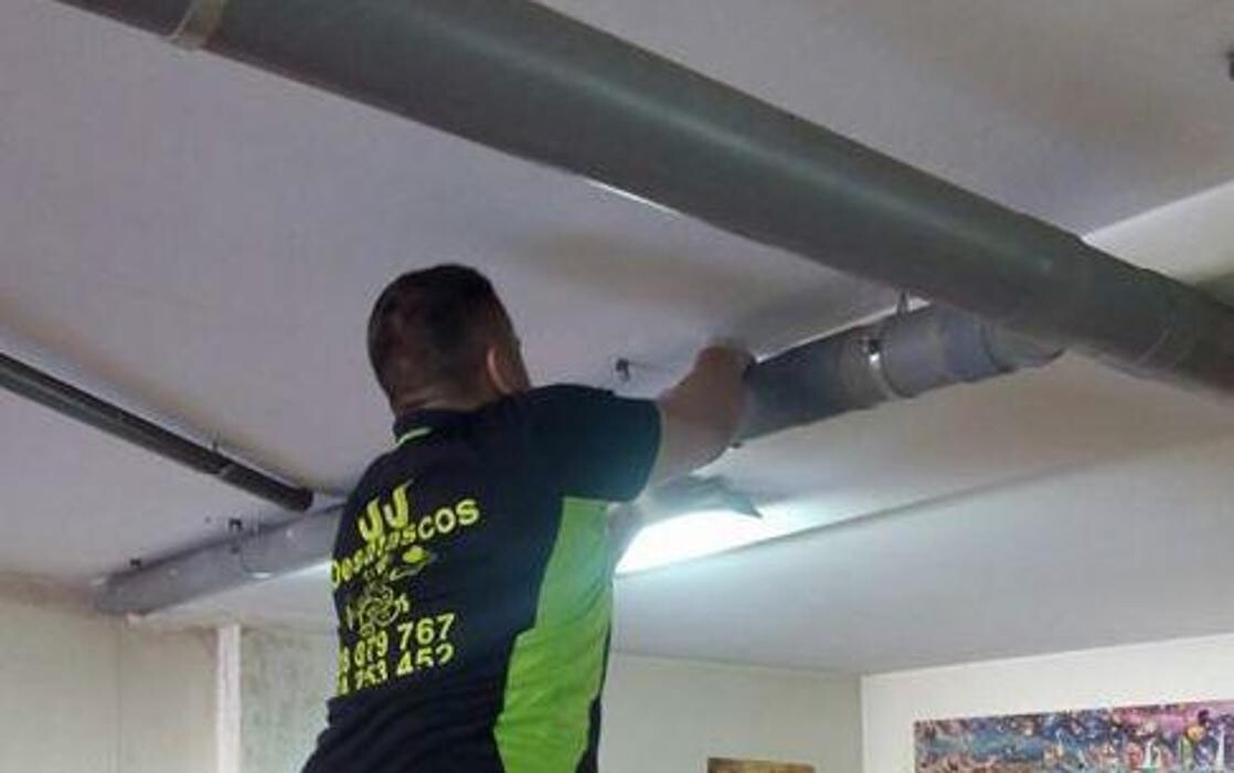 Images Desatascos en las palmas JJ