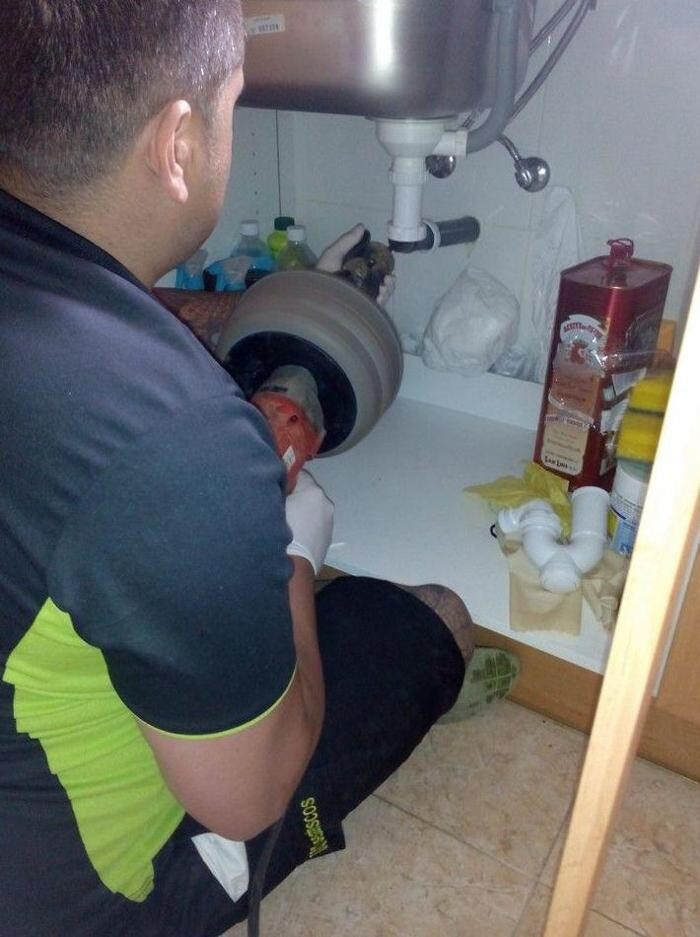 Images Desatascos en las palmas JJ