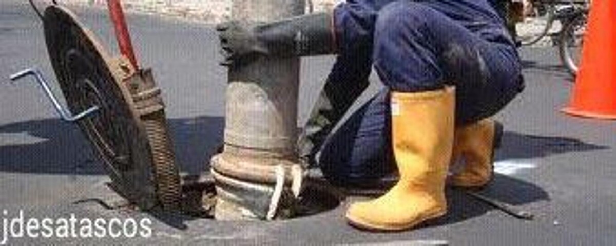 Images Desatascos en las palmas JJ