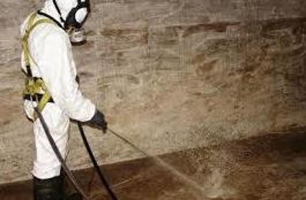 Images Desatascos en las palmas JJ