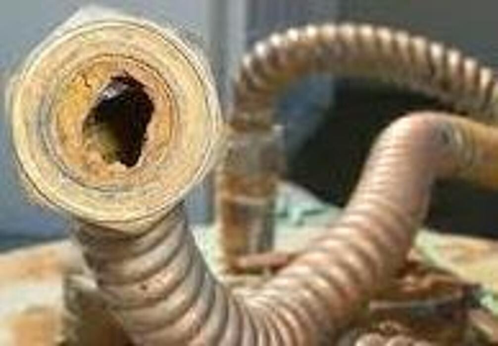 Images Desatascos en las palmas JJ