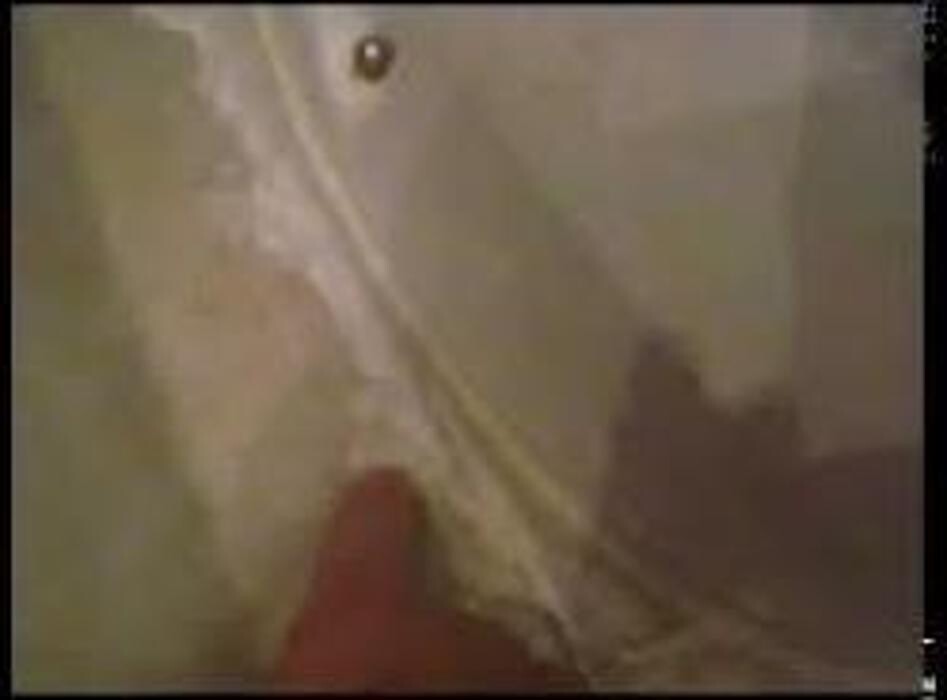 Images Desatascos en las palmas JJ