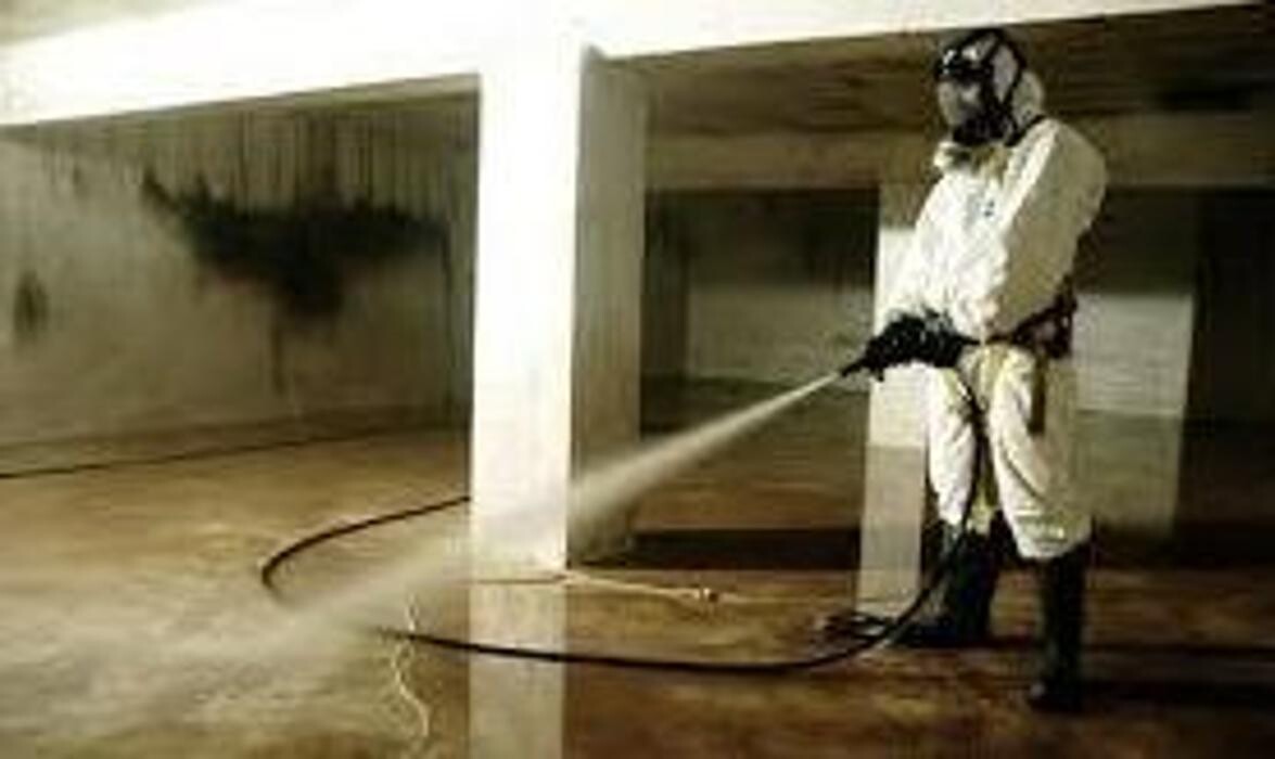 Images Desatascos en las palmas JJ