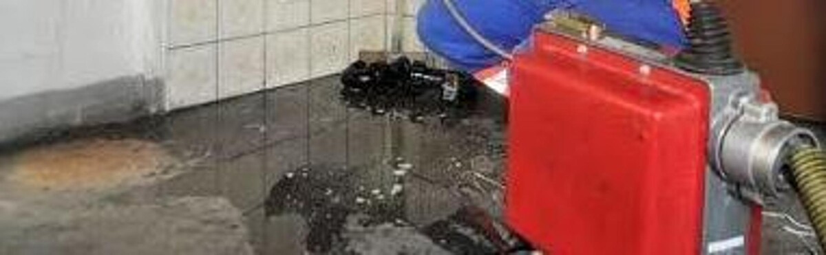 Images Desatascos en las palmas JJ