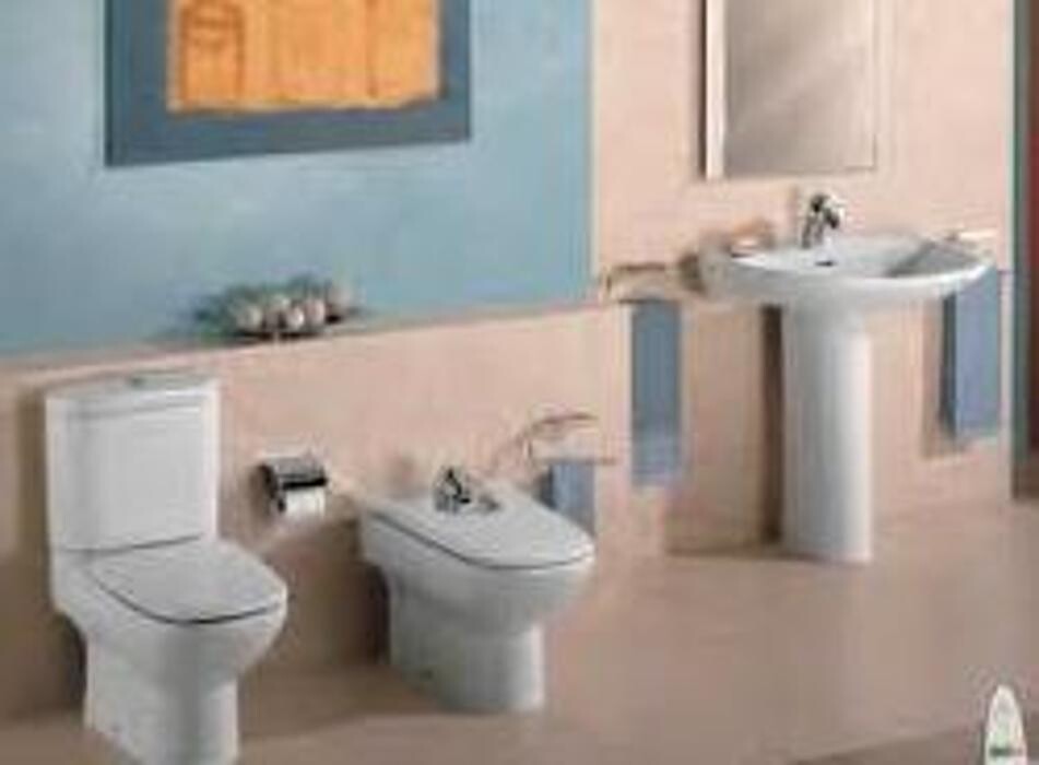 Images Desatascos en las palmas JJ