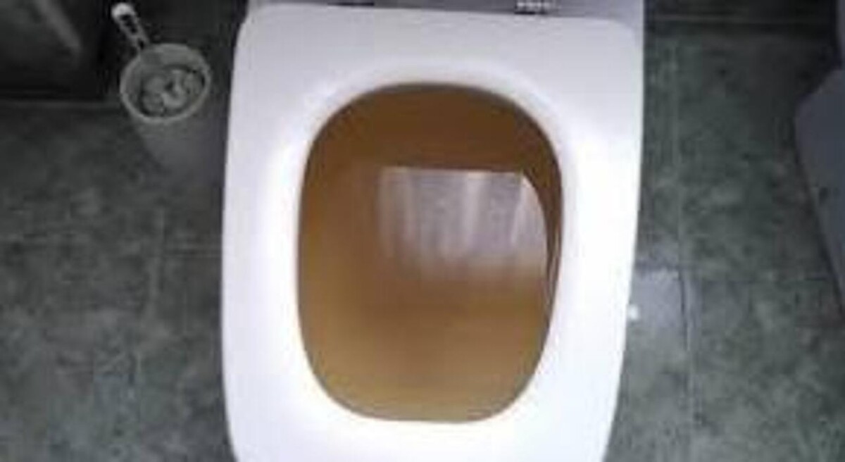 Images Desatascos en las palmas JJ