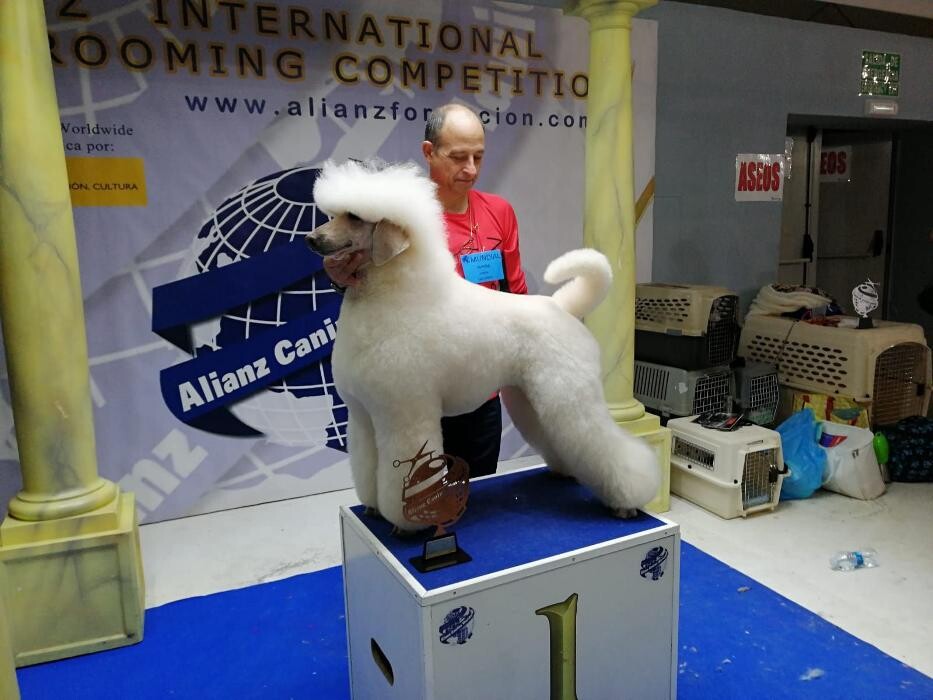 Images Academia y Peluquería Canina Sir Can