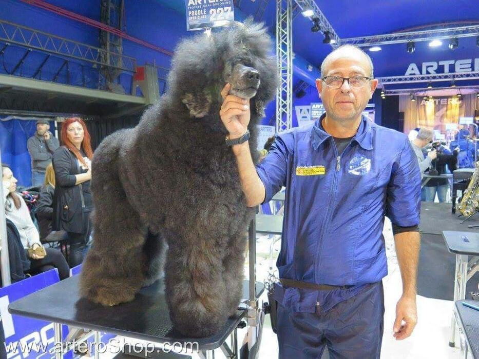 Images Academia y Peluquería Canina Sir Can