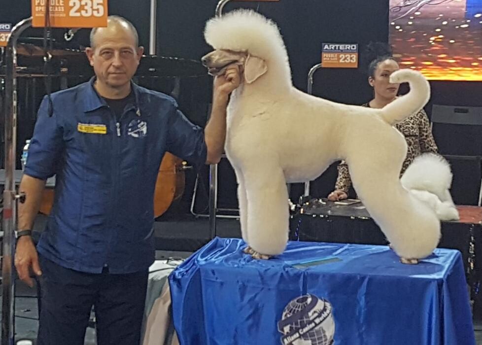 Images Academia y Peluquería Canina Sir Can