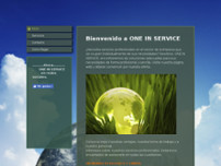 ONE IN SERVICE website screenshot