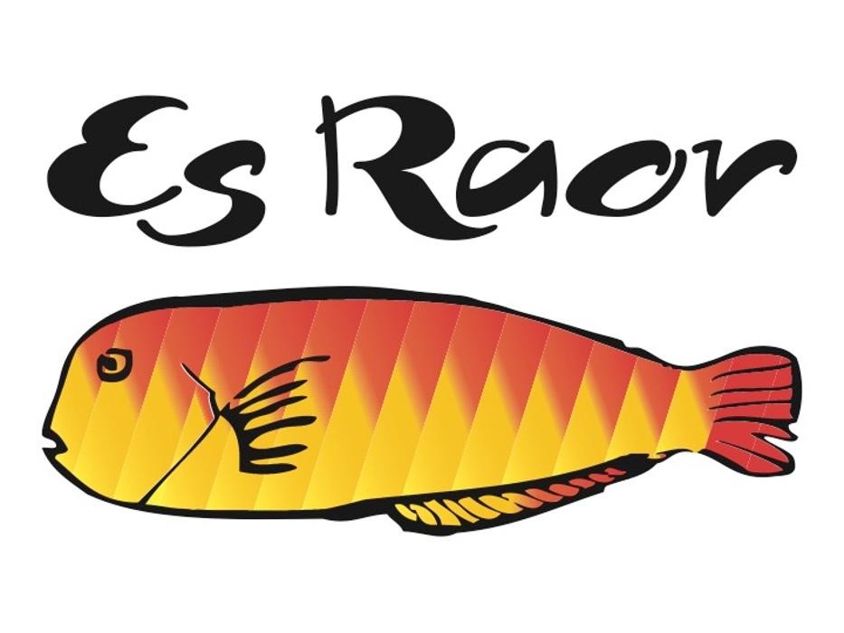 Es Raor Logo