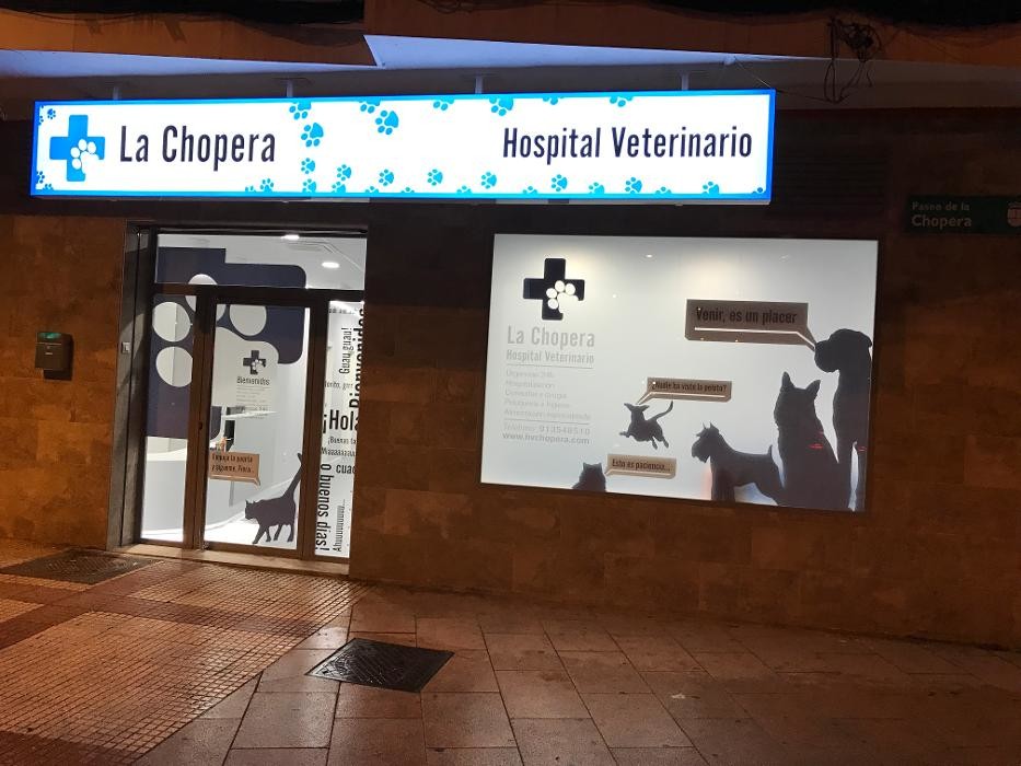 Images HOSPITAL VETERINARIO LA CHOPERA