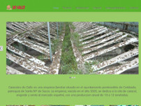 CARACOLES Y CONSERVAS DO GALLO website screenshot