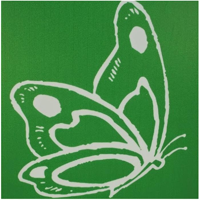 Centre-Natural Ecologic Logo