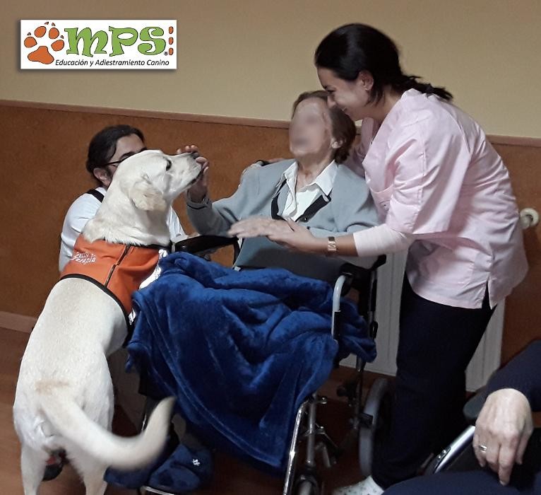 Images Mi Perro Sabe ...