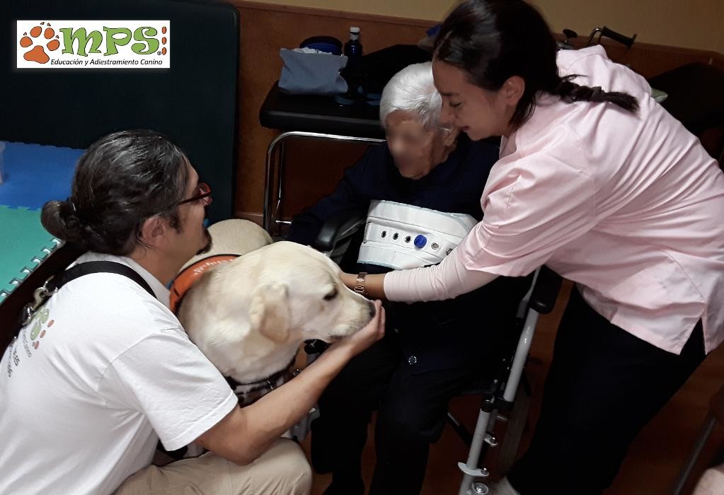 Images Mi Perro Sabe ...