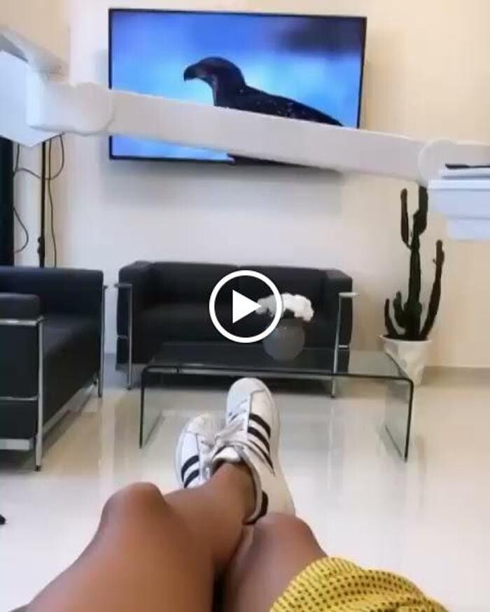 Images MAG Dental Madrid