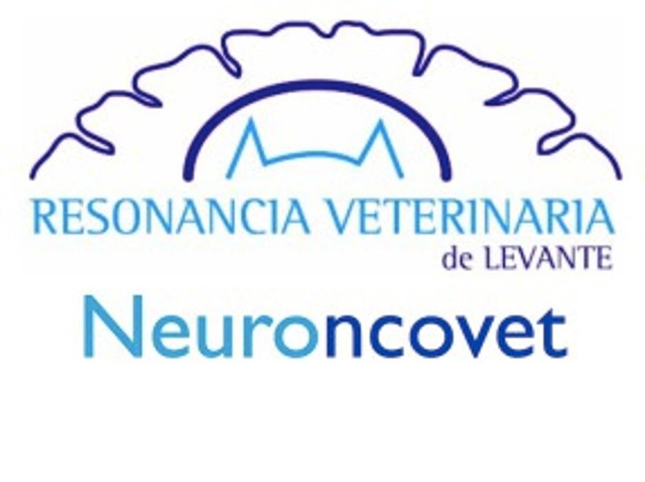 centro veterinario de Diagnóstico por Imagen de Levante Logo